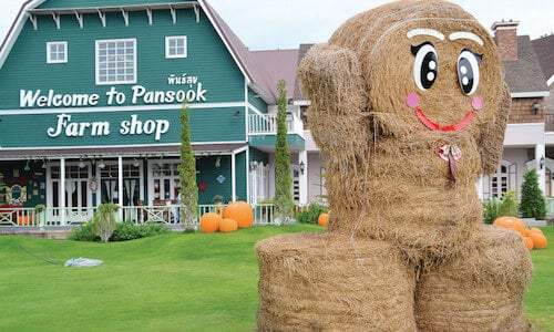 1000 Sook Food and Farm